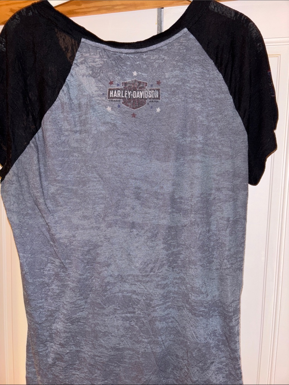 Harley-Davidson Gray and Black Short Sleeve Graphic Tee - Picture 8 of 8